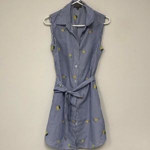 Blue White Stripe Lemon Shirt Dress